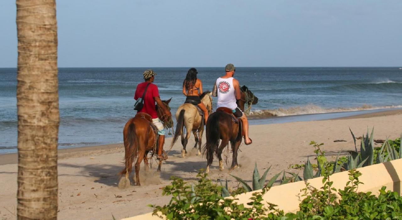 Villas Iguana A-13 Beachfront Condo Εξωτερικό φωτογραφία
